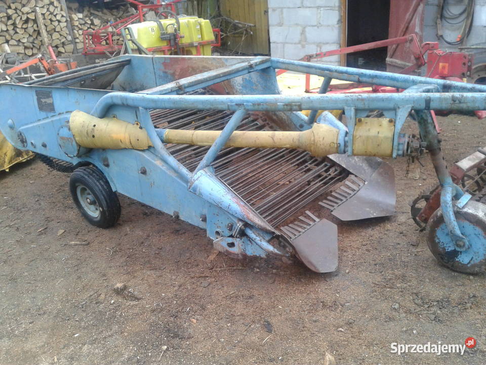 kopaczka do ziemniaków elewatorowa Accord