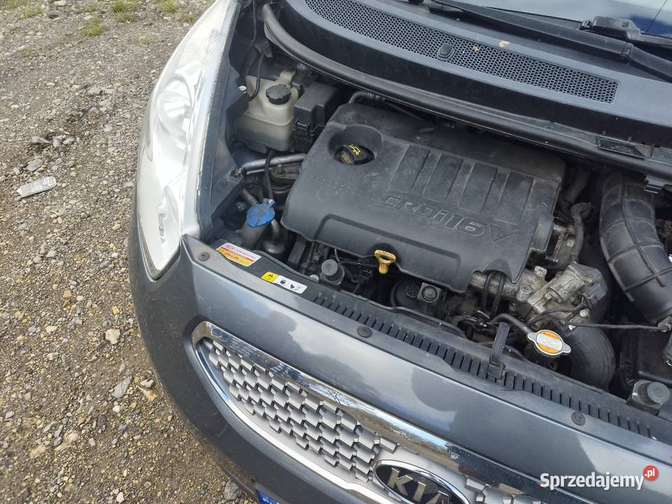 Kia venge nieuszkodzony Łazy