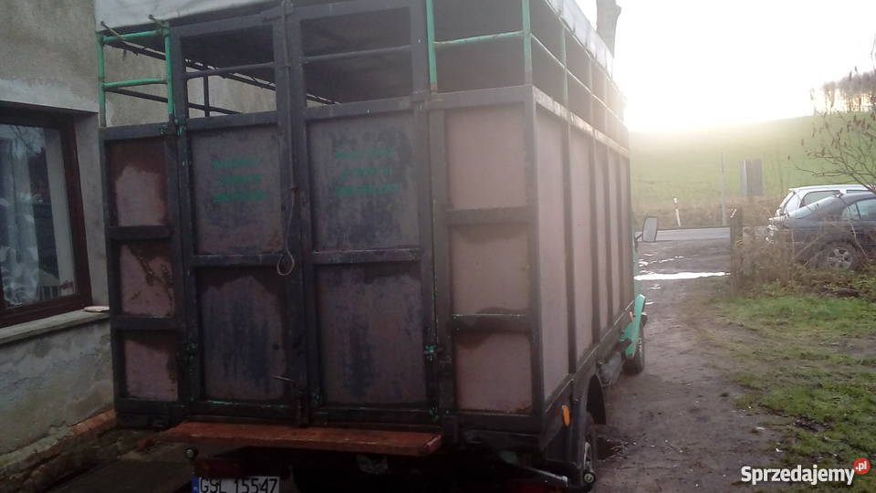 Mercedes kaczka do bydła żywca pomorskie Główczyce