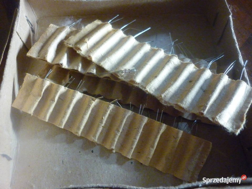 Żarówka miniaturowa 10V 0005 A Dębica