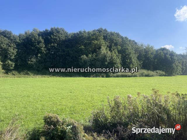 Działka 2780m2 Syrynia
