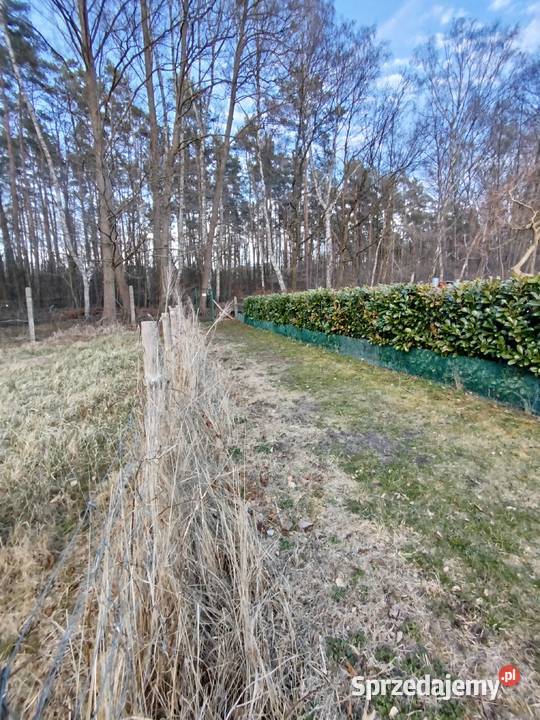 Sprzedam przepiękną działkę pod lasem Sprzedaż sprzedam