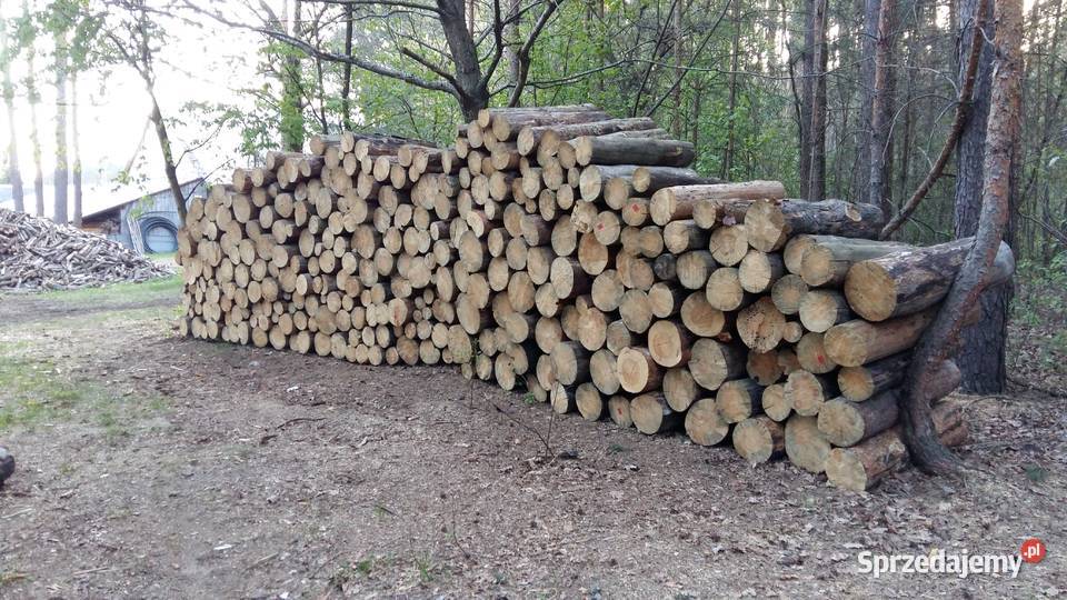 Drewno opałowe opał Sosna w grubych wałkach mazowieckie Łosice