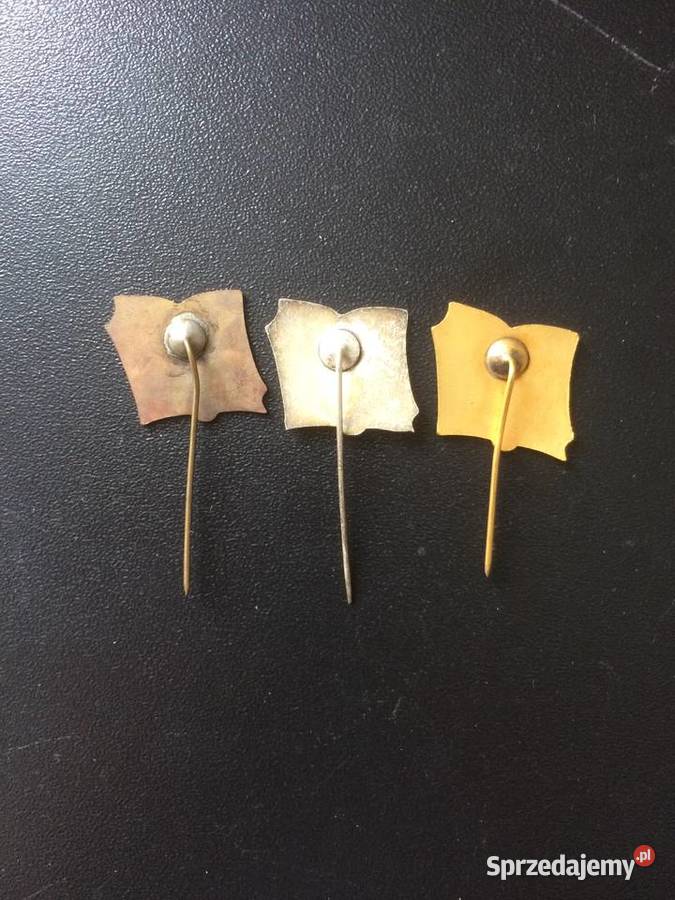 3338 Przypinka WUML Szczecin