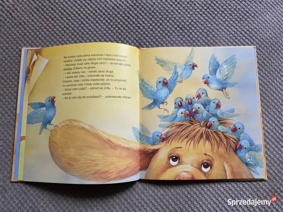O zwierzaku którego nie było AOnichimowska twarda Kraków