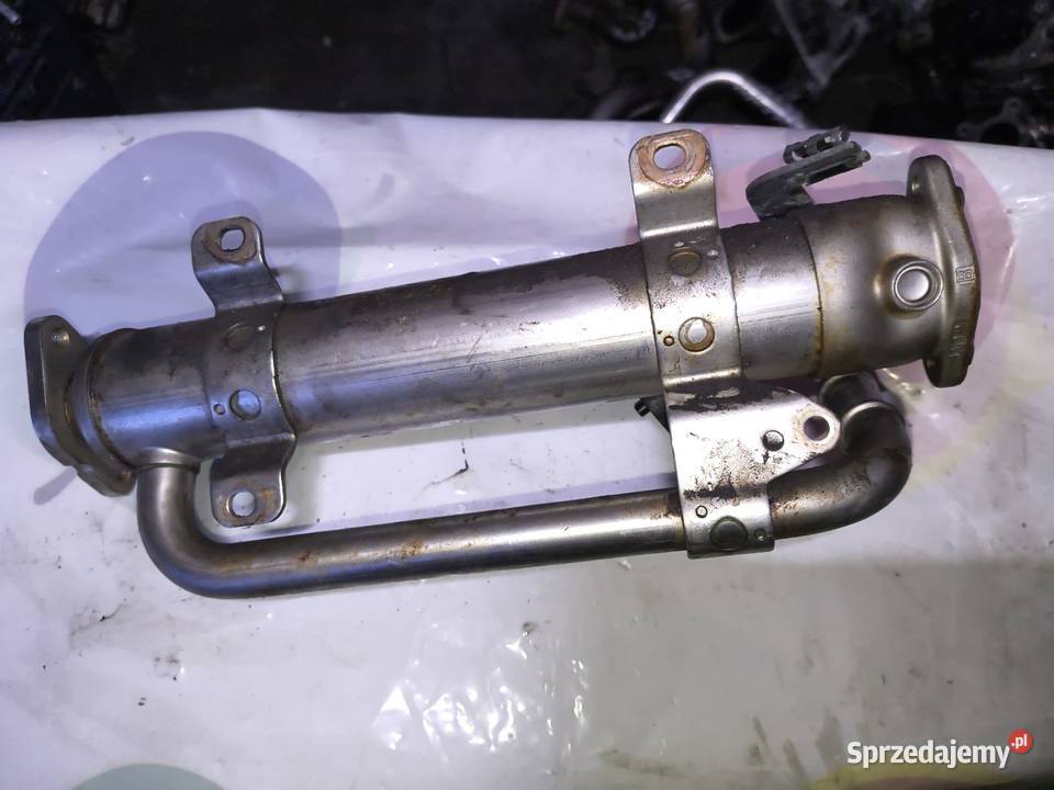 Chłodnica spalin EGR VW Passat B6 Golf V 20 TDI Strzałków