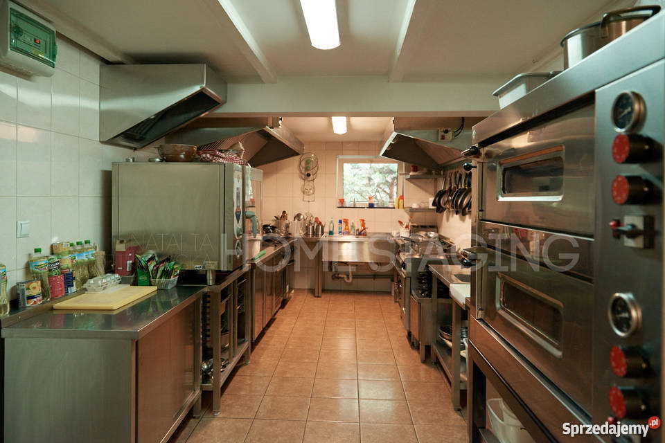 Lokal użytkowy z domem i ogrodem Leszno