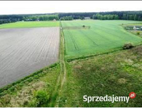 Syndyk Locotranssped Sp z oo w upadłości sprzeda Wronczyn