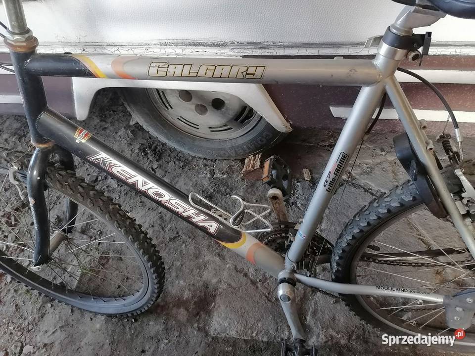 Rower męski Krotoszyn