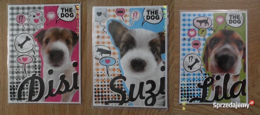 karteczki do segregatora ponad 2000 karteczek i Ostrołęka