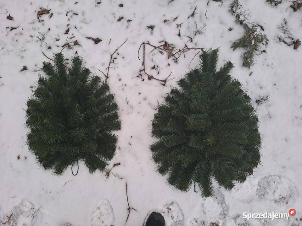 podkłady sztuczne pod wieńce wiązanki stroiki Sierpc