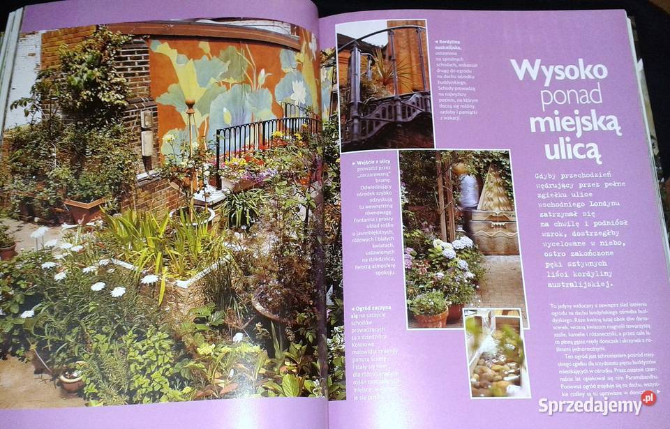 Ogród w doniczkach Readers Digest