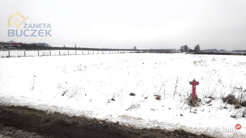 Sprzedam działki z warunkami zabudowy w Skarbikowo sprzedam