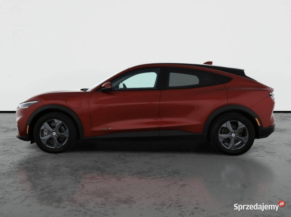Ford Mustang MachE Standard Range RWD mazowieckie