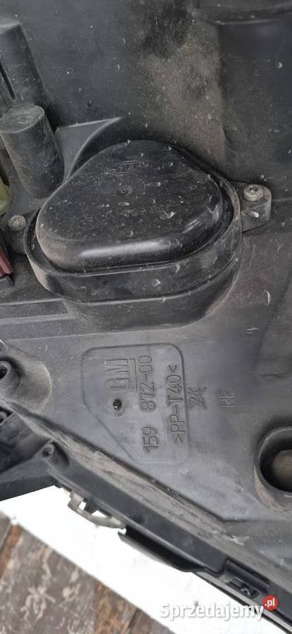 Lampy Opel Vectra xenon Żary