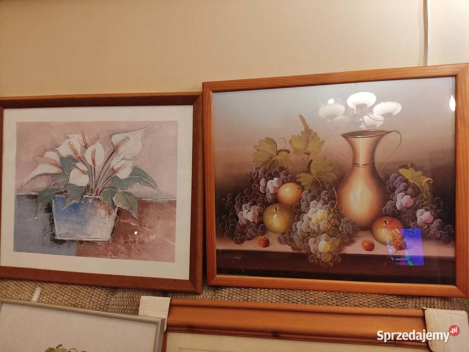 obraz obrazek wyprzedaż kolekcji lubuskie Gorzów Wielkopolski