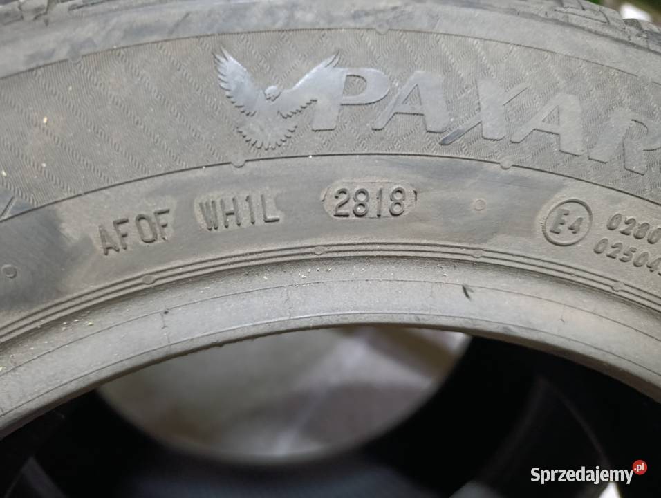 Opony 2055516 zima Rawica Nowa