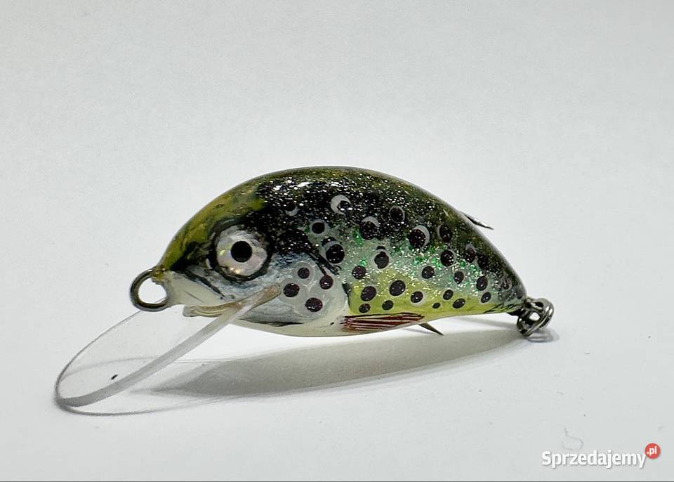 Woblery kleniowojaziowe MD Szczebrzeszyńskie dolnośląskie Wrocław sprzedam