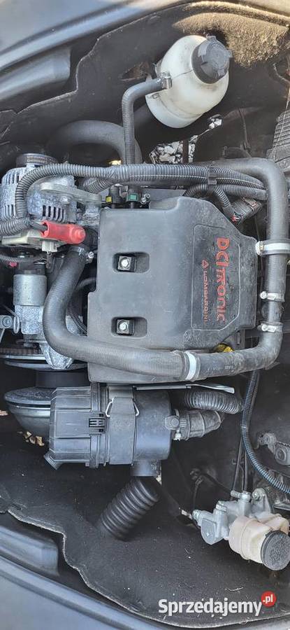 Sprzedam czesci do ligier ixo osobowe Lampy przednie Marczyce sprzedam