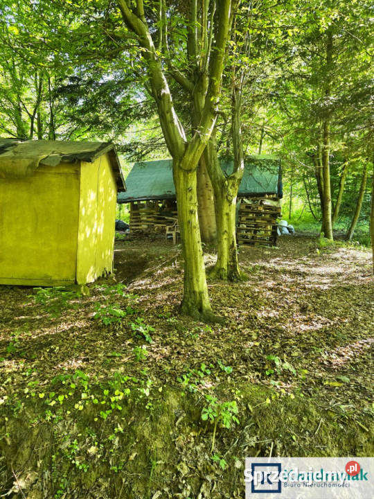 Działka Płowce 8242m2