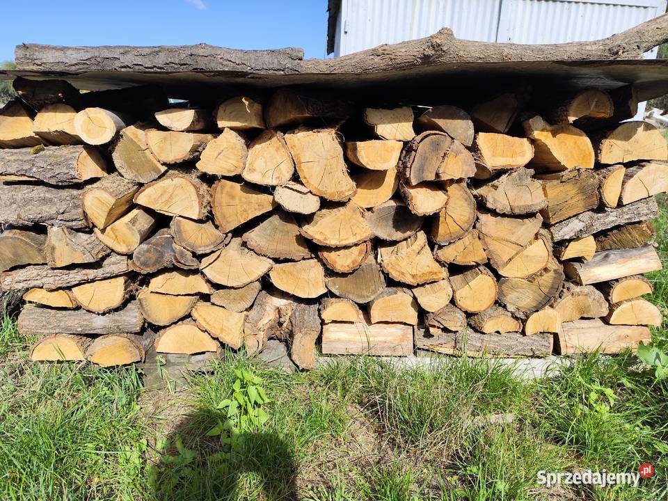 Drewno opałowe osika brzoza olcha inne liściaste Radom