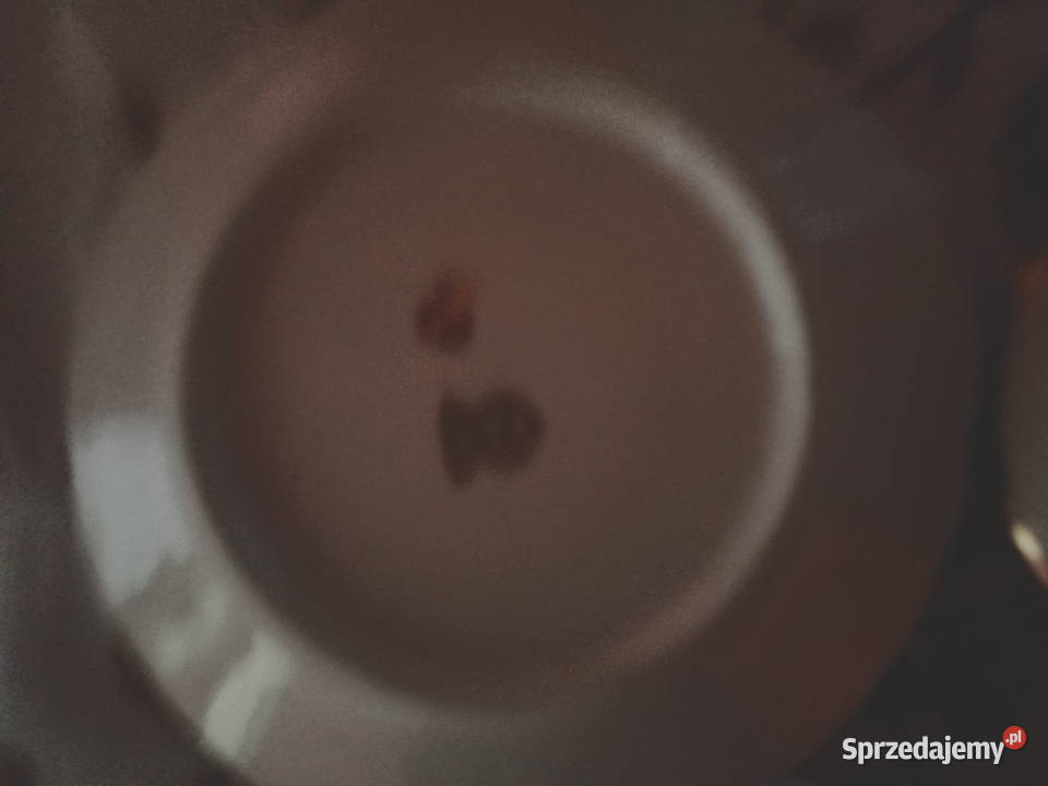 Zestaw kawowy z Tułowic kujawsko-pomorskie Radziejów