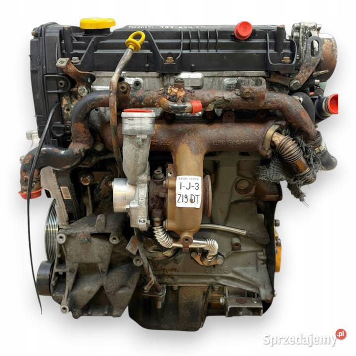 SILNIK Z19DT Opel Signum Vectra C Astra H Zafira Chełm sprzedam