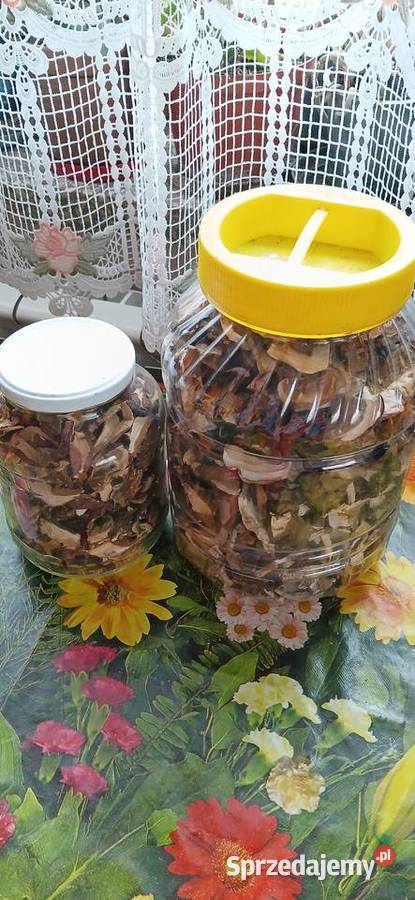 Sprzedam tegoroczne suszone grzyby Mroków sprzedam