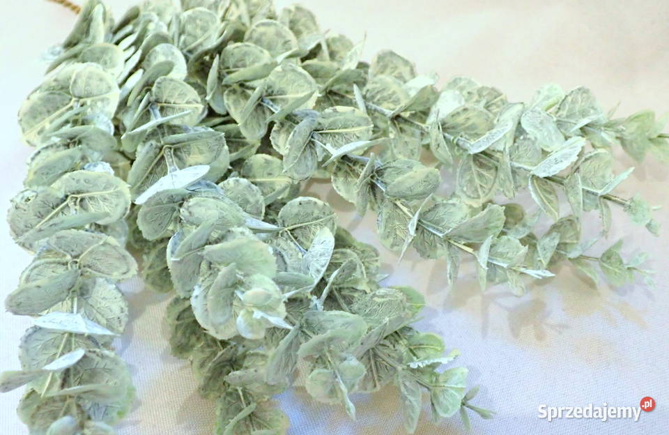 Dekoracja gałązka eukaliptusa ozdobna zielona 44 Siewierz