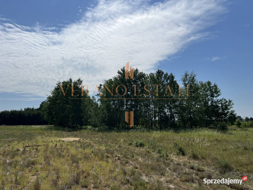Działka rolna 35 ha Dojazd asfaltowy Sprzedaż mazowieckie Wikcinek