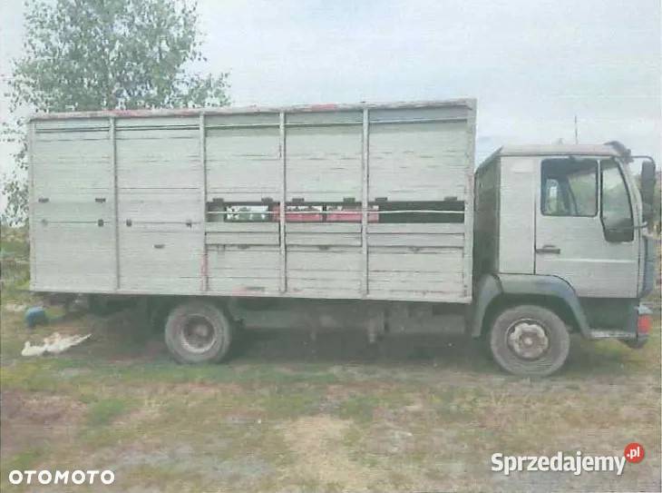 Syndyk sprzeda samochód ciężarowy marki MAN do Rybno