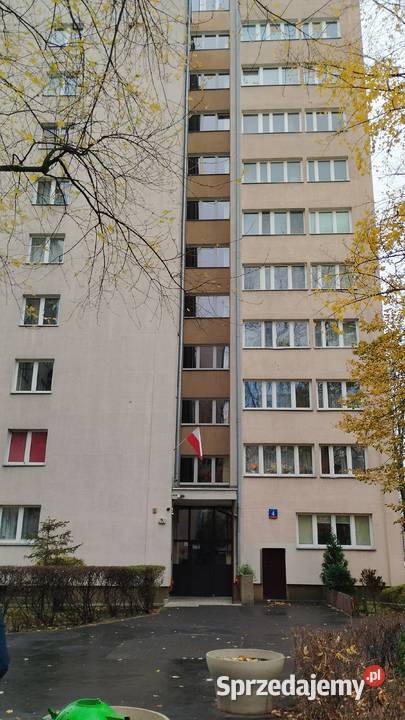 kawalerka na Dolnej na wynajem mazowieckie Warszawa