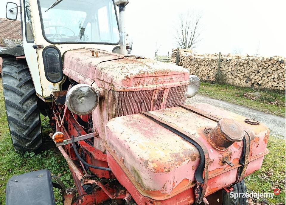 Belarus opolskie Pilszcz