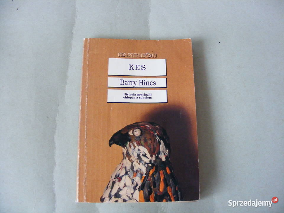 Kes Hines Serenissima Jong Moja piękna pralnia literatura piękna - proza zagraniczna Proza i poezja Proza i poezja dolnośląskie