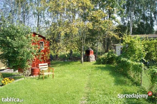 Działka rekreacyjna RODPestka sprzedam