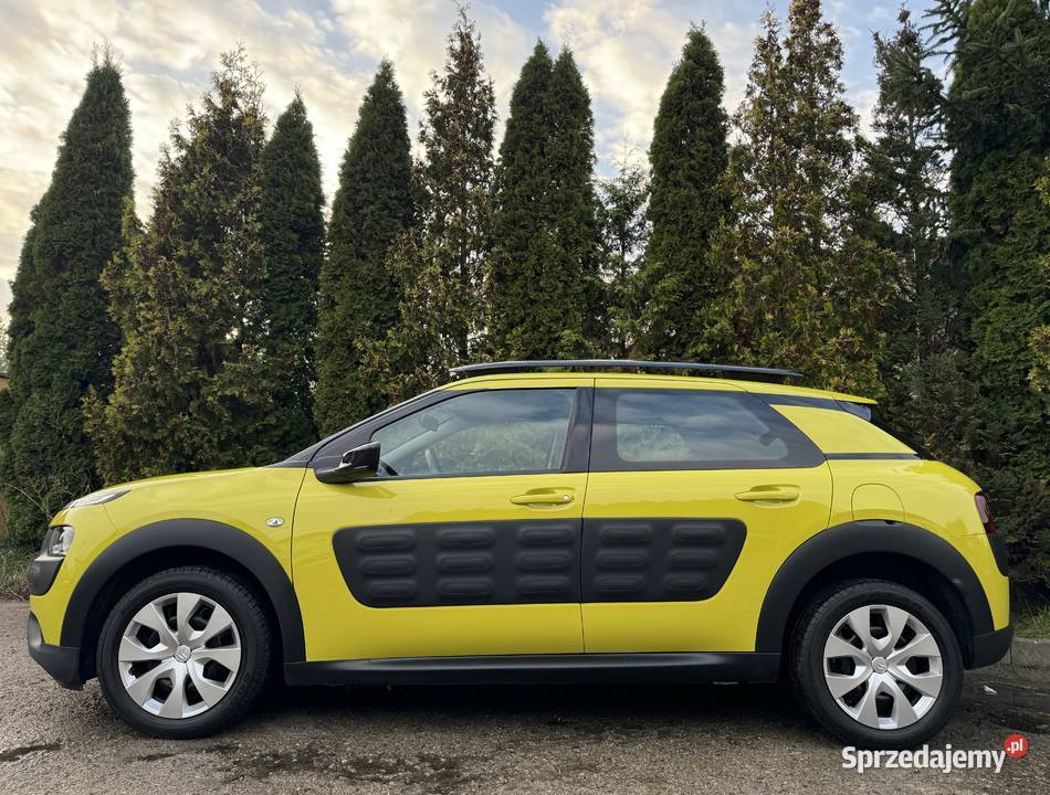 CITROEN C4 CACTUS 12 82 Ledy Kamera Klimatronik warmińsko-mazurskie Elbląg
