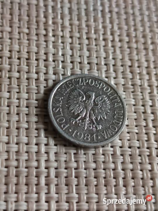 Sprzedam 10 gr 1981 r Antyki, Sztuka, Kolekcje Chełm