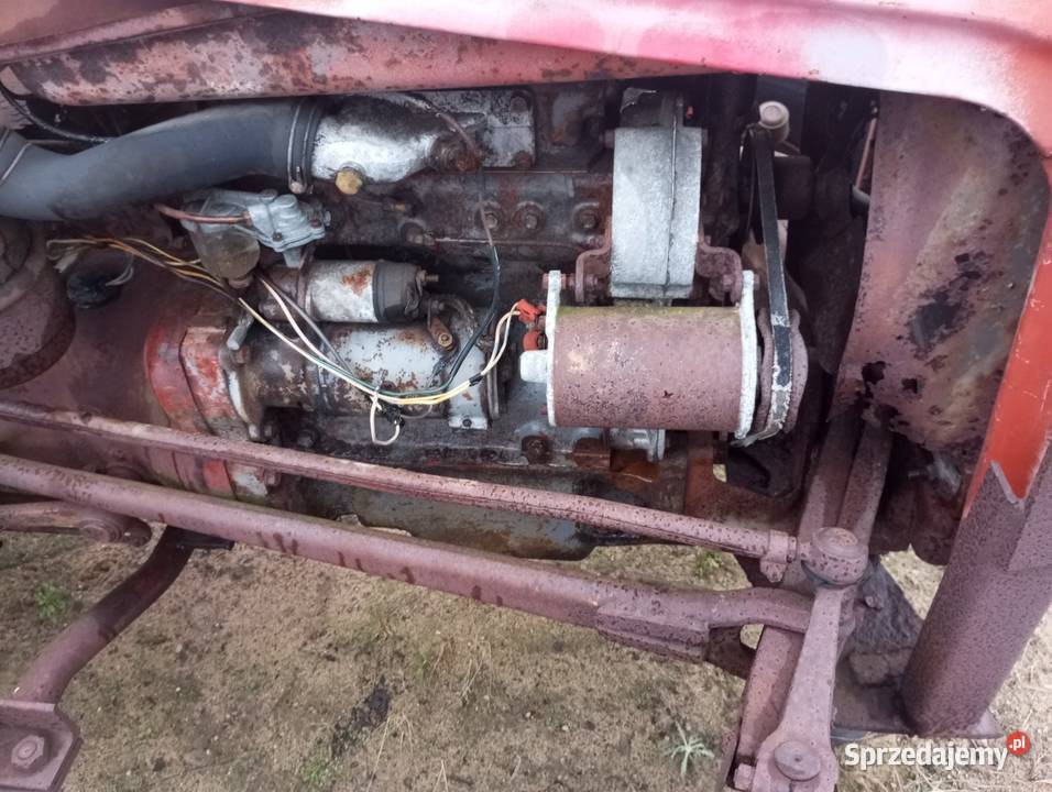 Ciągnik Massey Ferguson 35 wielkopolskie Buk