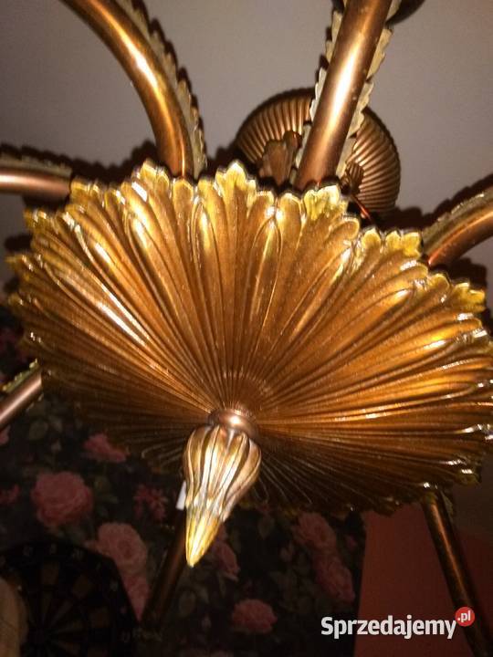 Wioślarz Mechaniczny Katowice