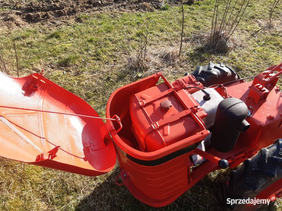 Dzik 21 lisek traktorek Pozostałe sprzedam