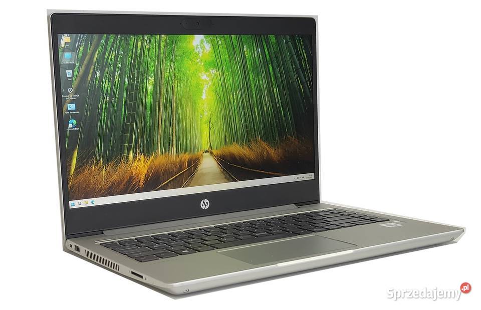 Laptop HP ProBook 440 G7 Intel i310110u 8G W11 120