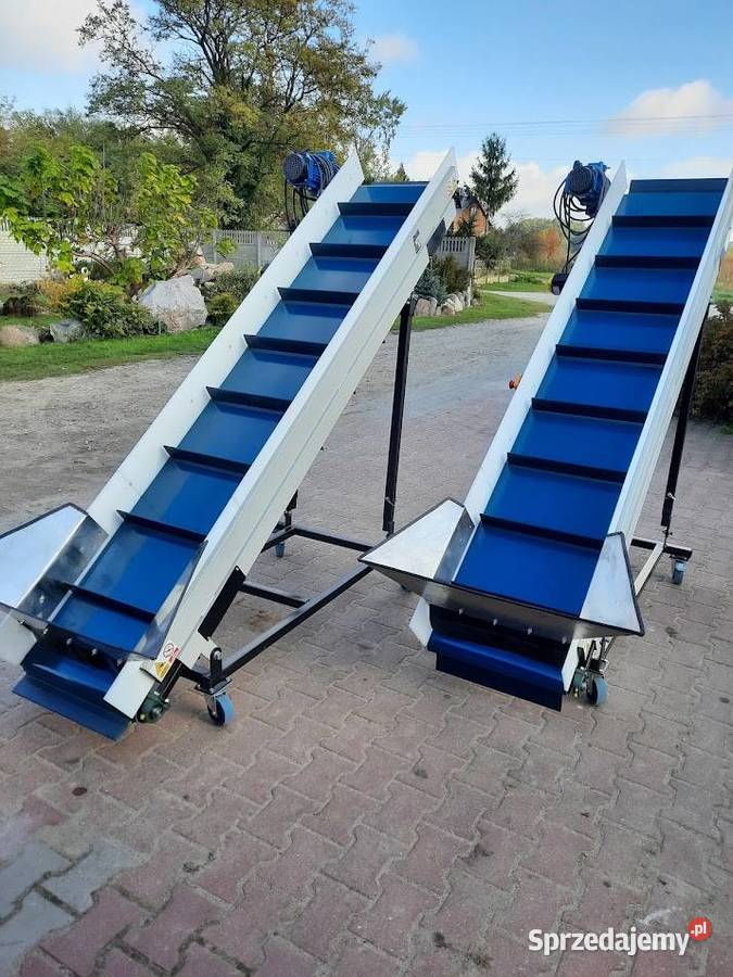 Taśmociąg przenośnik taśmowy do pakowania warzyw Łowicz