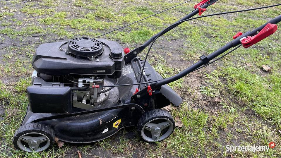 kosiarki spalinowe z koszem i napędem sprzedam