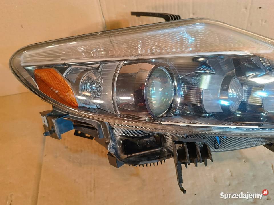 NISSAN MURANO Z51 II LAMPA PRAWY PRZÓD EUROPA osobowe wielkopolskie Nowy Tomyśl