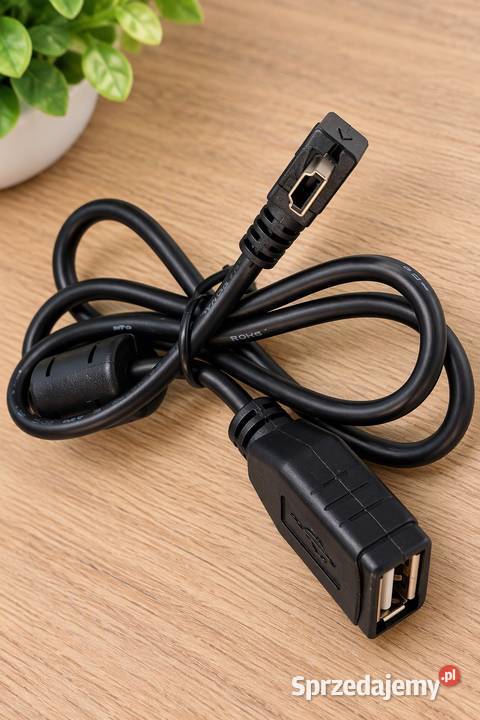 Złącze kabel USB do radia Blaupunkt CASABLANCA Pozostałe Słupsk