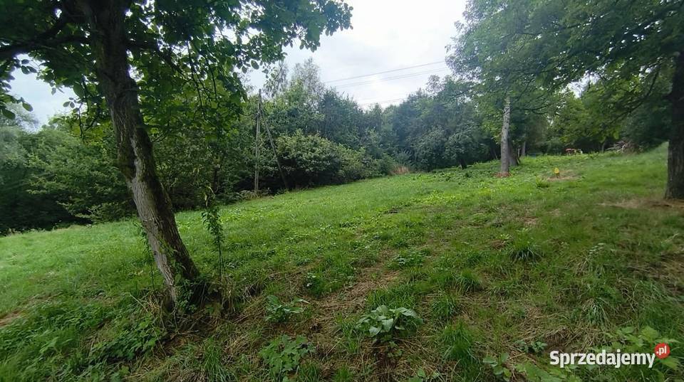 Działka budowlana Janowice powiat tarnowski gm 34zł/m2 Sprzedaż