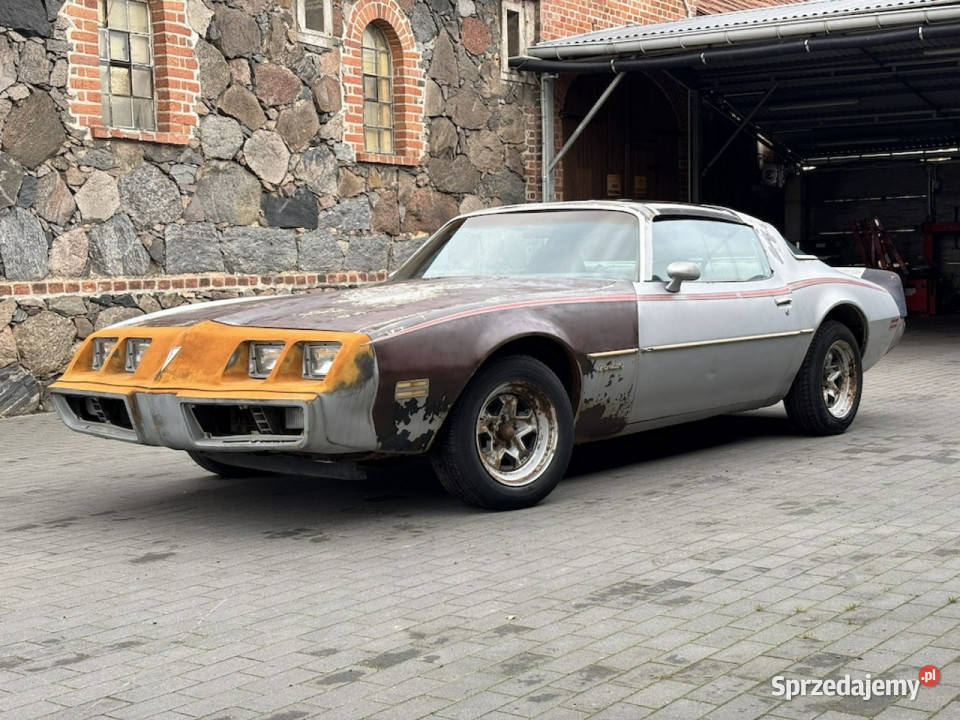 Pontiac Firebird Trans Am Pontiac Firebird 1981 nieuszkodzony Sulechów