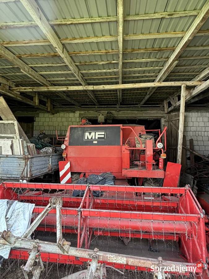 Kombajn MF440 Mały Płock