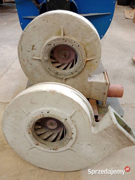 Podajnik ślimakowy 500 sprzedam