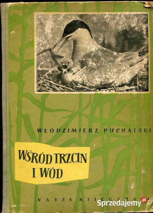 Wśród trzcin i wód Puchalski zachodniopomorskie Szczecin